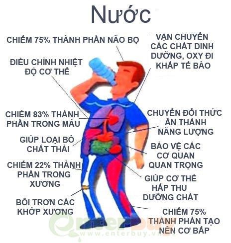 lọc nước đầu nguồn